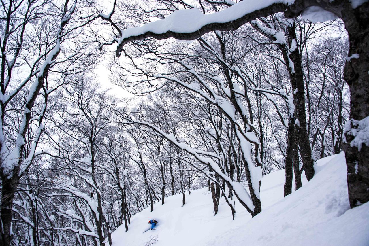 Morino Lodge - Myoko Εξωτερικό φωτογραφία